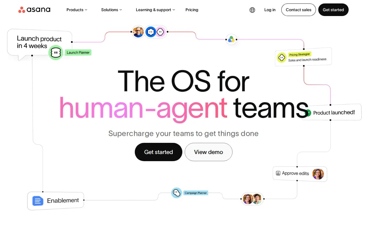 Asana landing page snapshot - August 5, 2026
